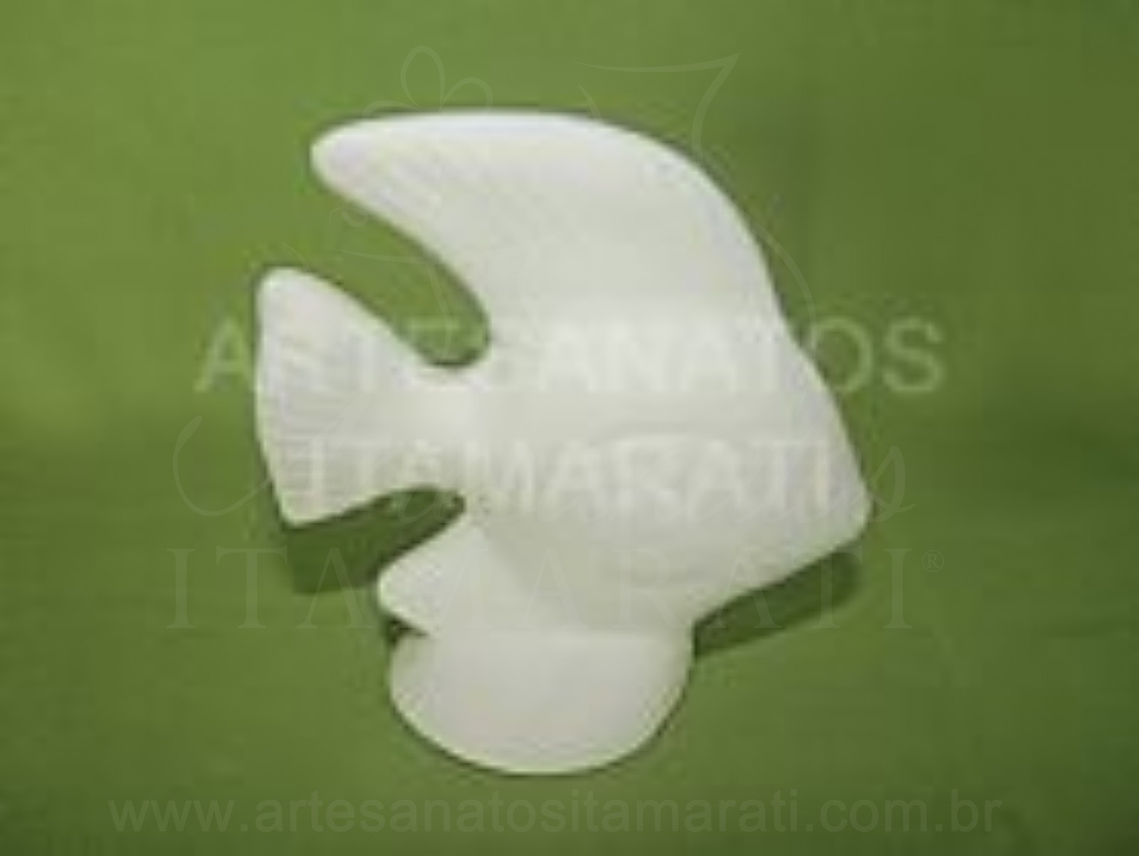 Peixe Anjo Pequeno